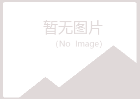 福州晋安初夏咨询有限公司